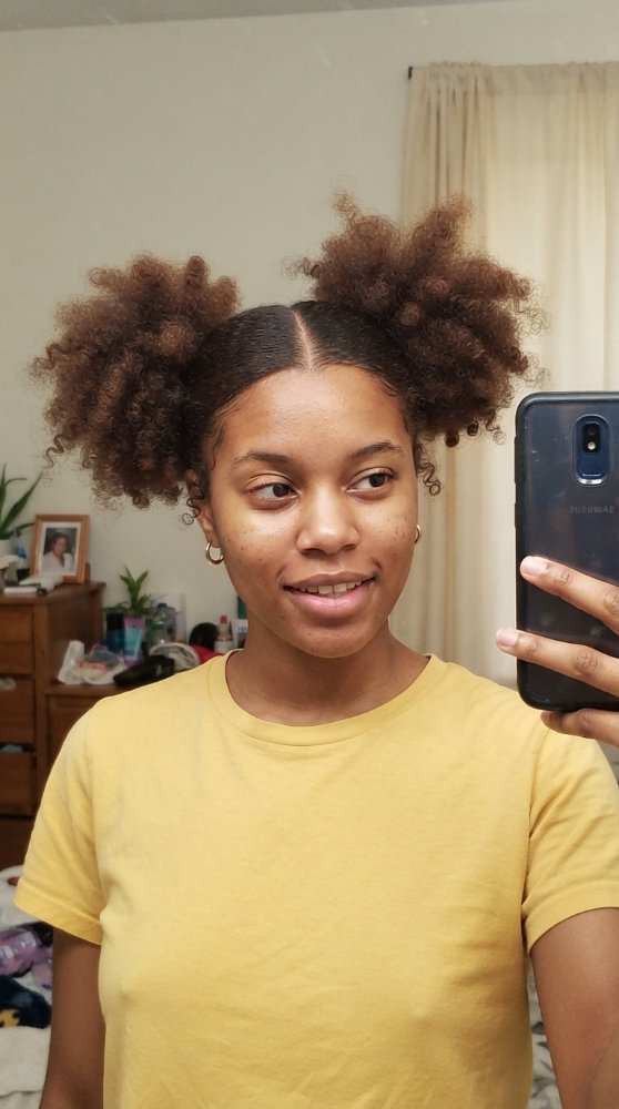 The hair is dark brown with a medium to tight curl pattern, styled into two large puffs on either side of the head. The texture appears to be dense and voluminous, with dimensional color, and discernible cut style, layers or face-framing elements; there are braids, but the hair is sectioned and pulled away from the face. The overall dimension of the hairstyle is rounded and voluminous, with a clear distinction between the puffed sections and the flat, smooth section in the middle. There is visible soft regrowth blending